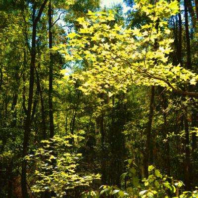 港澳宝典app下载