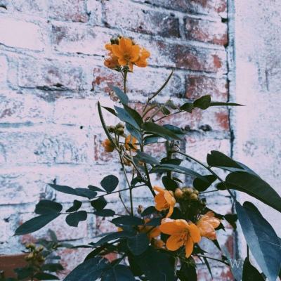 pg棋牌软件平台