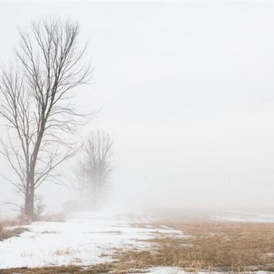 金沙娱场城官网入口网址下载