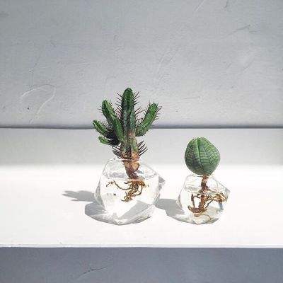 AG大厅网址下载手机版