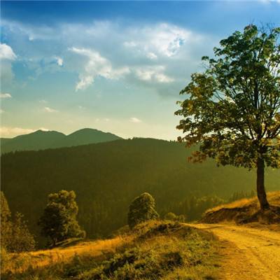 AOA体育登录入口app下载