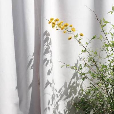 乐鱼官方手机app下载