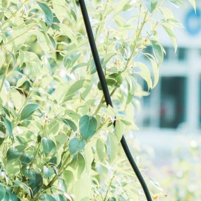 金年会体育APP下载