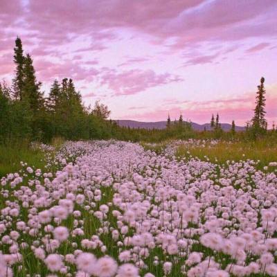 im电竞平台手机app下载