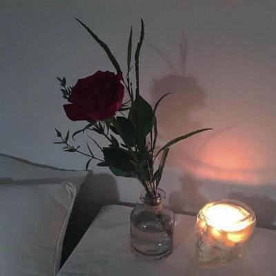 博鱼中国官网下载入口