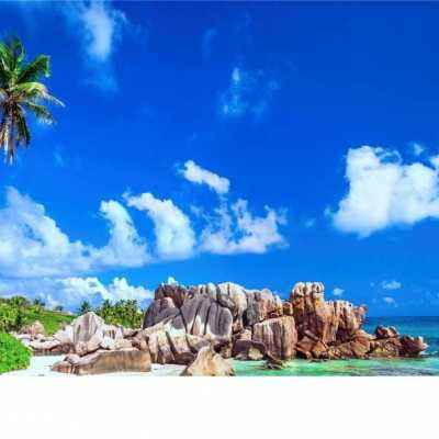 pg电子最新网站入口