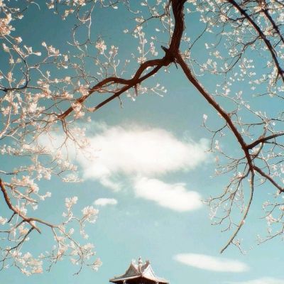 皇冠新体育手机app下载