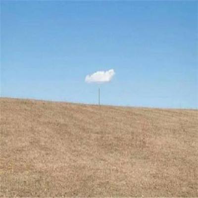 江南官方网站下载app下载