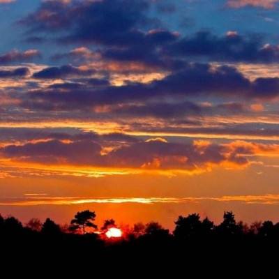 bd半岛·体育中国官方网站