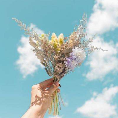 皇冠官网app下载安装