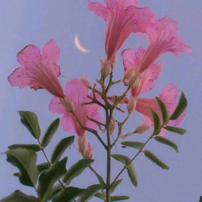 乐宝体育官网登录入口