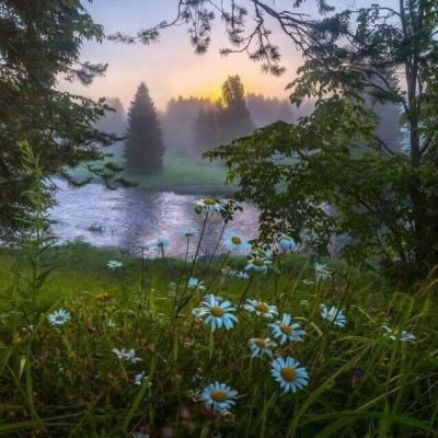 pg麻将胡了下载入口