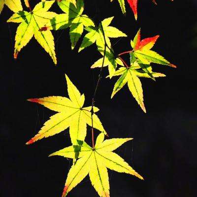 博鱼综合体育在线登录入口