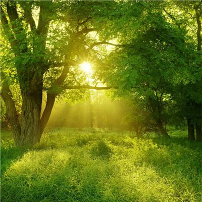 开元app手机app下载截图