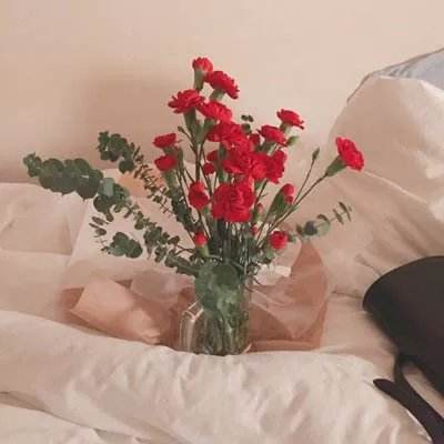 真人百家家乐网站