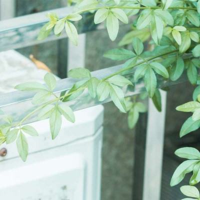 kok官方体育app下载