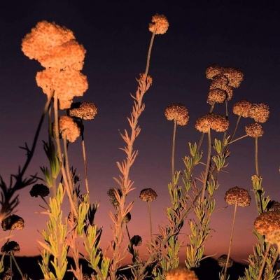 ky体育手机app下载