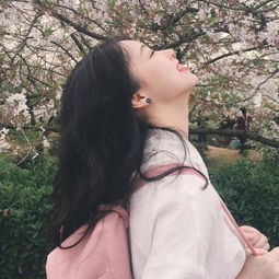 开元棋脾26888官方版最新版