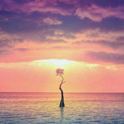 大发dafa888app下载