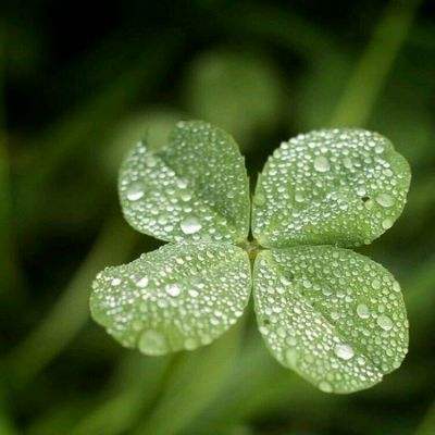 环球体育官方登录入口