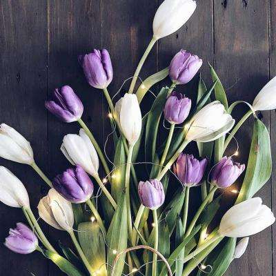 彩票平台wellcome