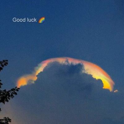 BOB半岛·中国官方网站入口