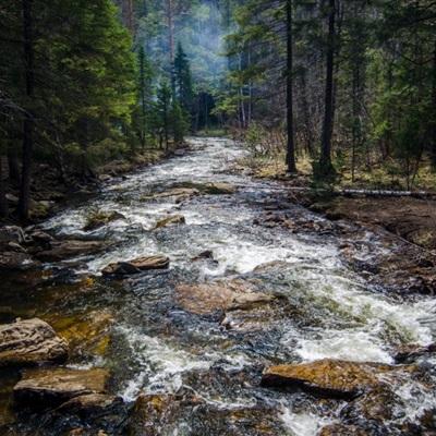 im电竞手机app下载