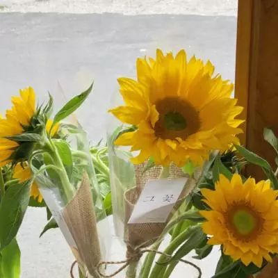 365平台下载下载手机版