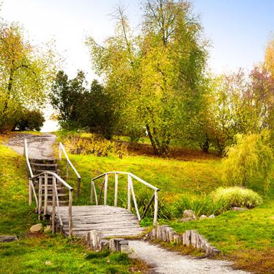 金年会体育APP下载官网