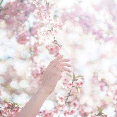 博喜体育官网下载