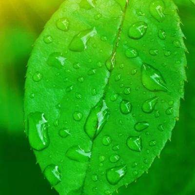 域网棋牌游戏下载手机版