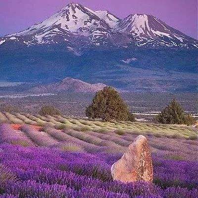 购彩中心welcome入口官方版手机app下载