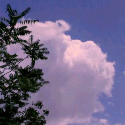 bte365真正的网站截图