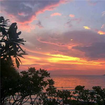 大众彩票入口welcome手机app下载