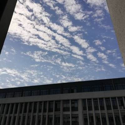 BOB半岛·中国官方网站入口