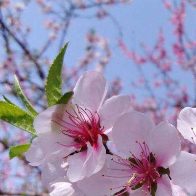 江南平台app下载安装下载手机版