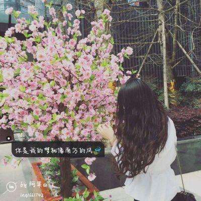 b体育必一官方下载入口