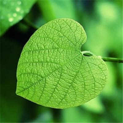 万博·体育-登录入口