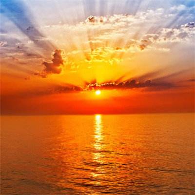 炸金花单机游戏下载手机版