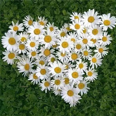 通比牛牛游戏app