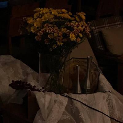 真人斗牛牛手机app下载