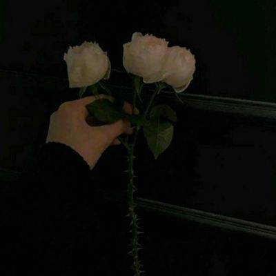 BOB体育综合app入口