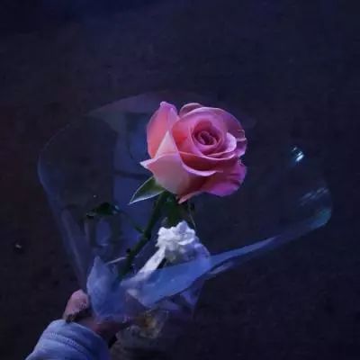 中欧体育app下载安装