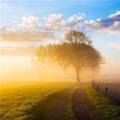 开云·体育(kaiyun)