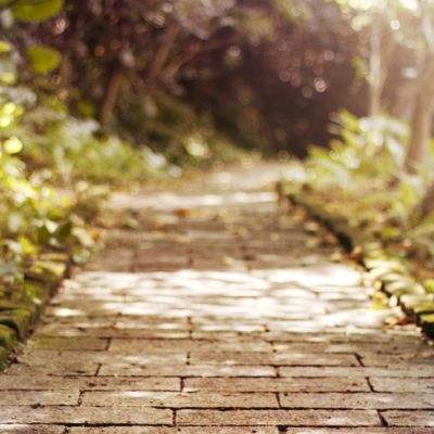 PG·麻将胡了手机app下载