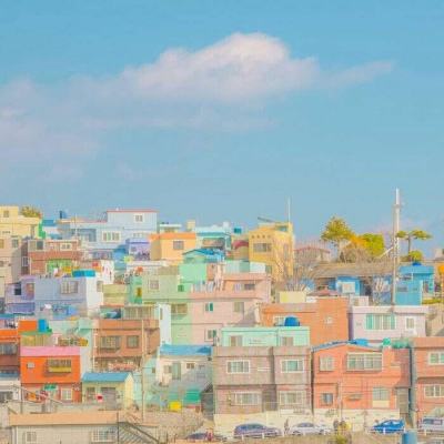 乐动体育app官网入口