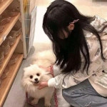 火狐电竞·huohu手机app下载