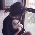 皇冠hg8868新版点此进入