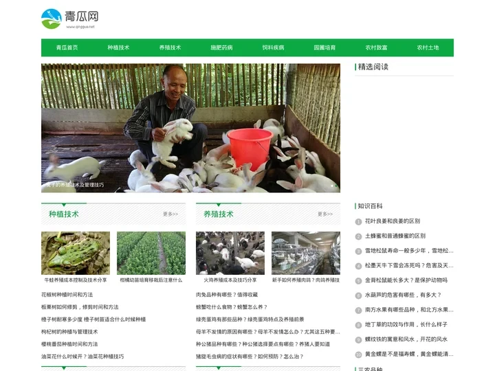 青瓜网 - 三农致富经资讯,农村种植养殖致富项目与技术分享