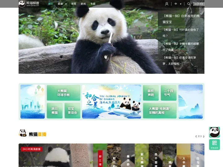 熊猫频道_央视网